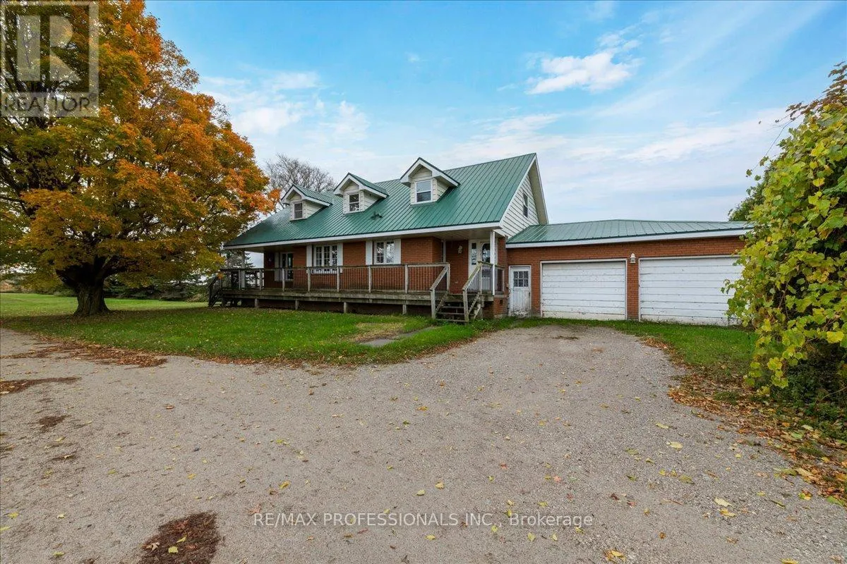 100 TINY FLOS TOWNLINE