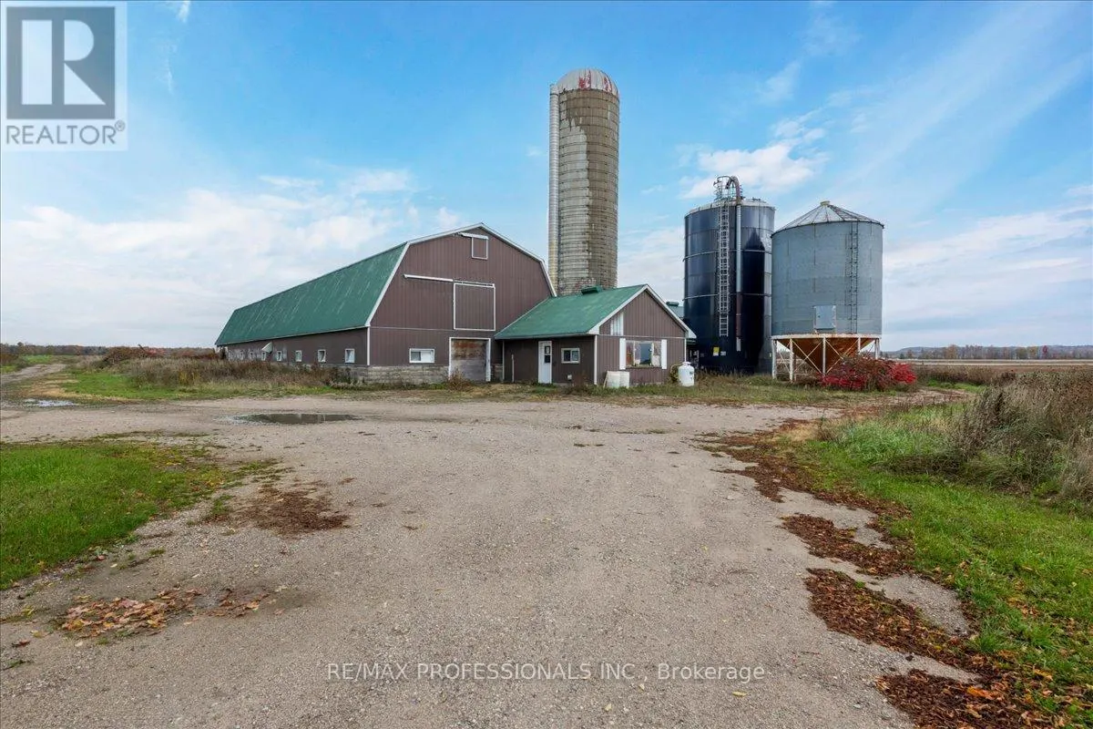 100 TINY FLOS TOWNLINE