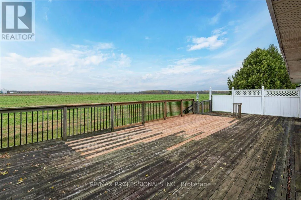 100 TINY FLOS TOWNLINE