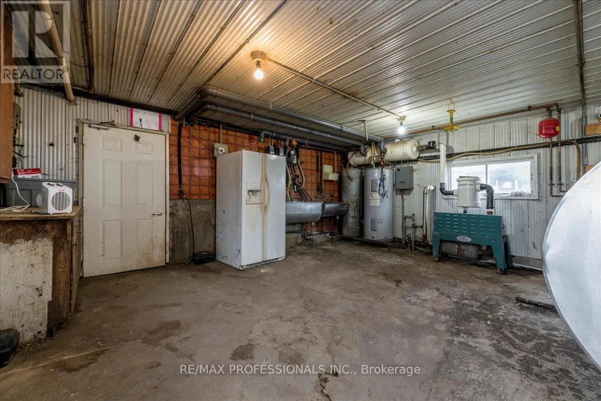 100 TINY FLOS TOWNLINE
