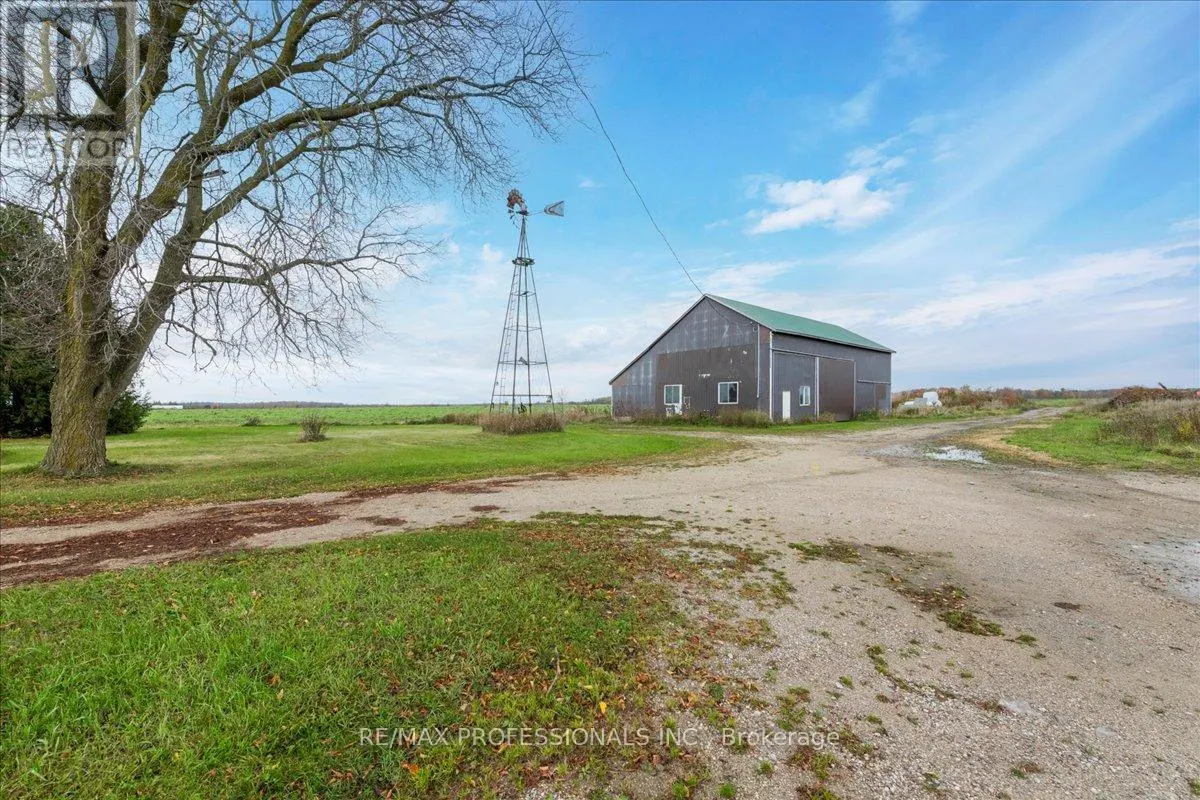 100 TINY FLOS TOWNLINE