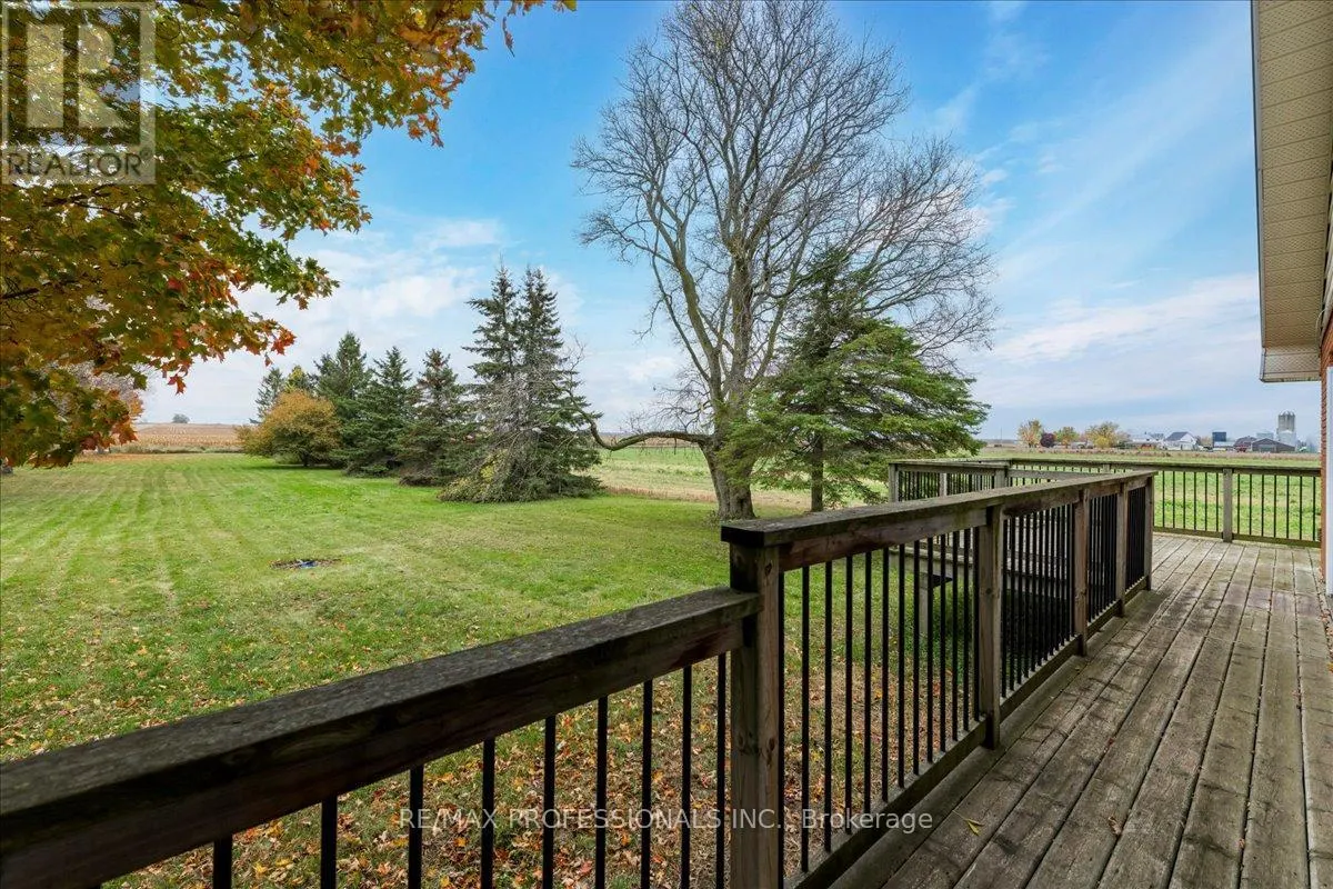 100 TINY FLOS TOWNLINE