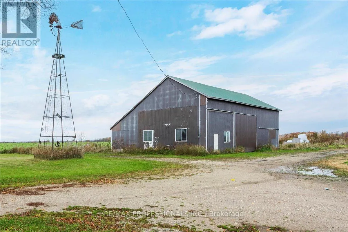100 TINY FLOS TOWNLINE