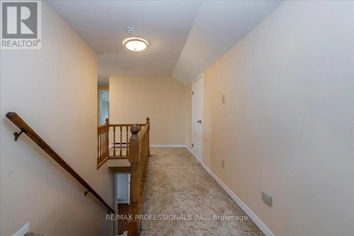 100 TINY FLOS TOWNLINE
