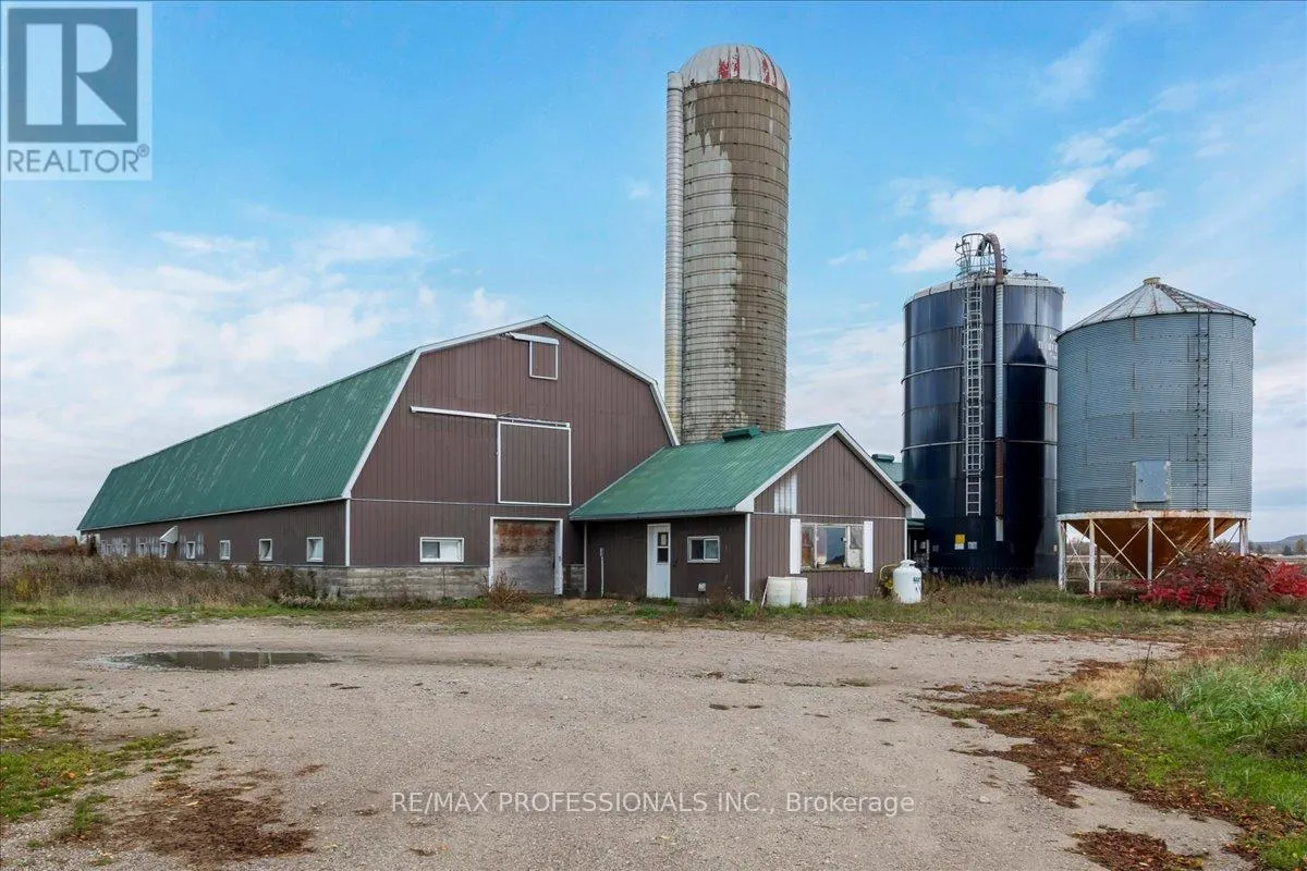 100 TINY FLOS TOWNLINE