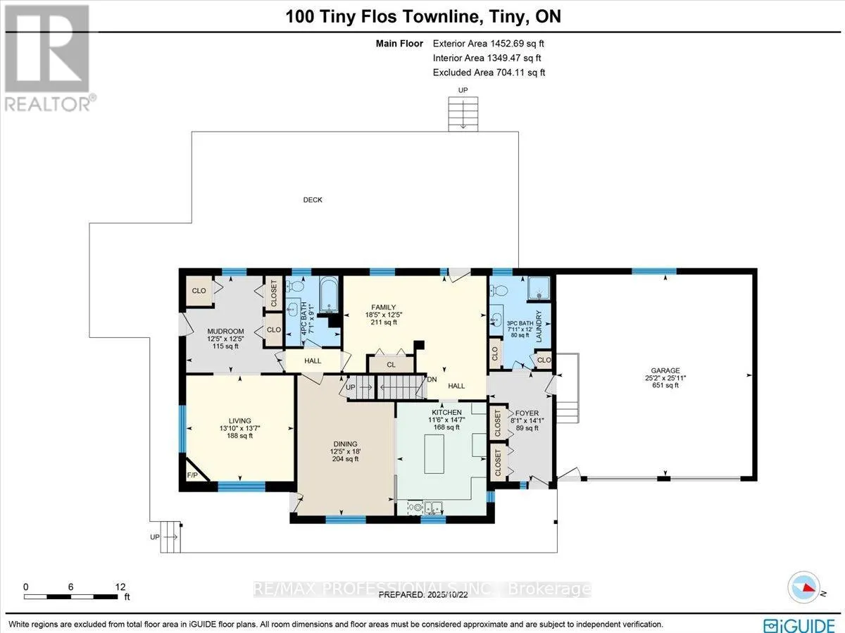 100 TINY FLOS TOWNLINE