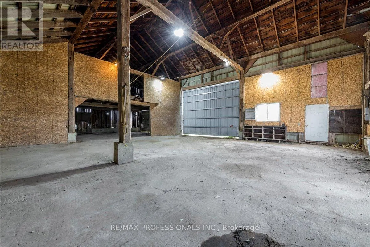 100 TINY FLOS TOWNLINE