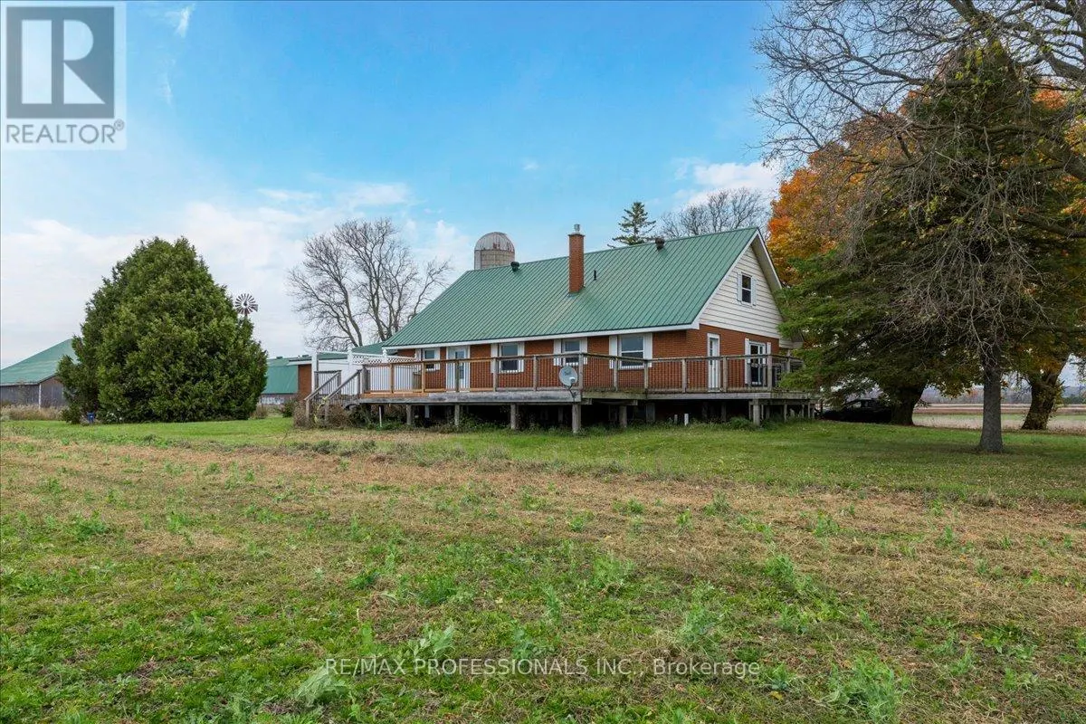 100 TINY FLOS TOWNLINE