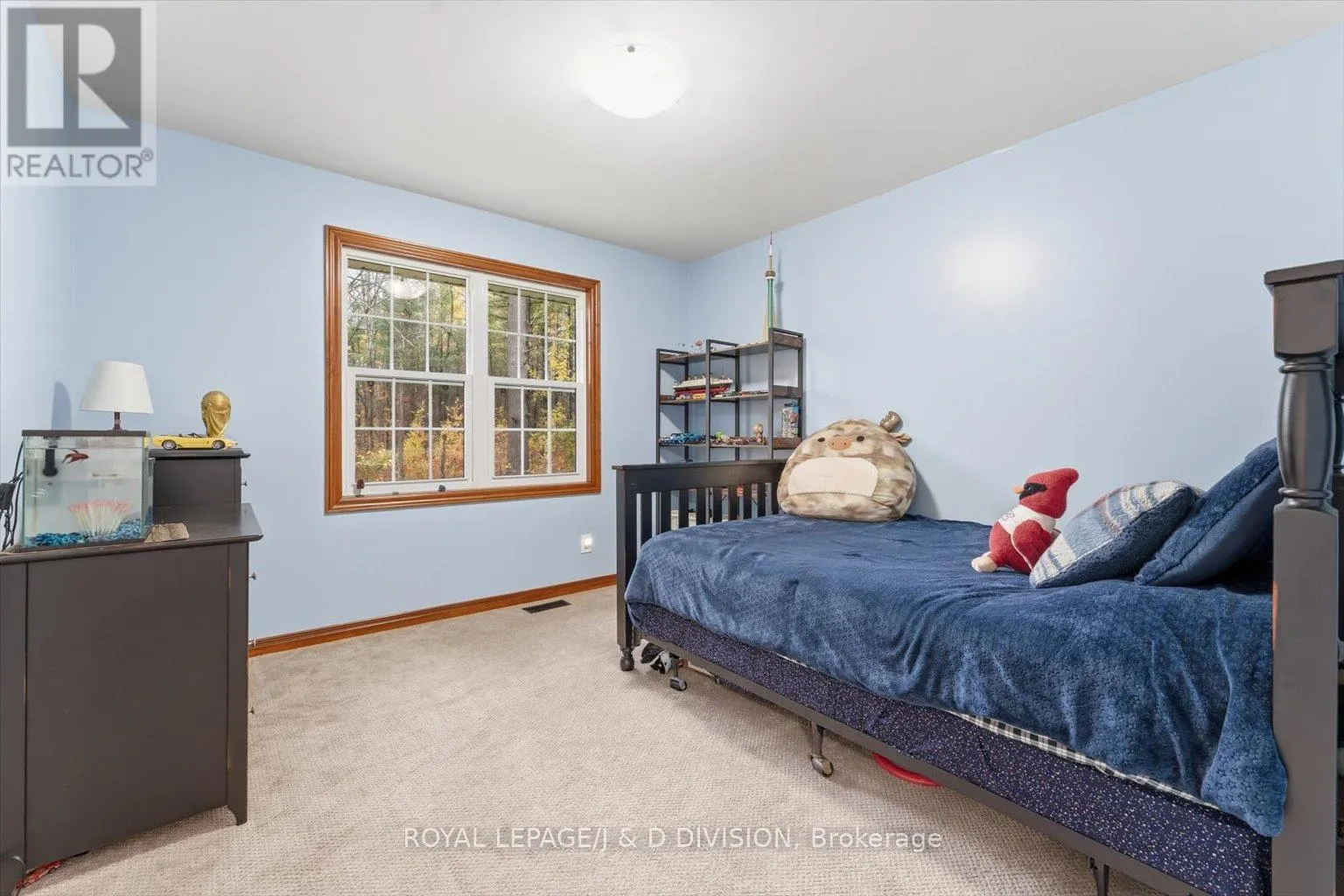 2925 PINECONE TRAIL