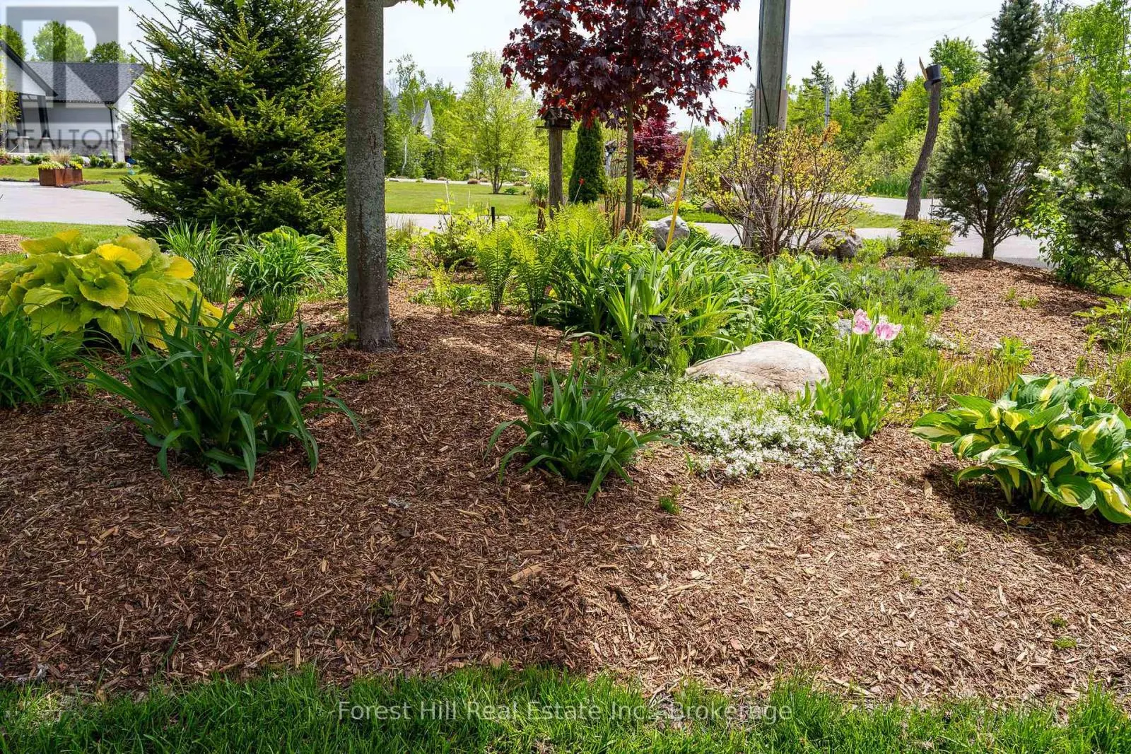 155 GLENLAKE BOULEVARD