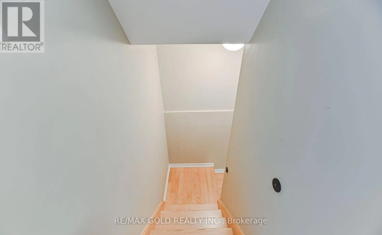 72 BROWN BEAR STREET