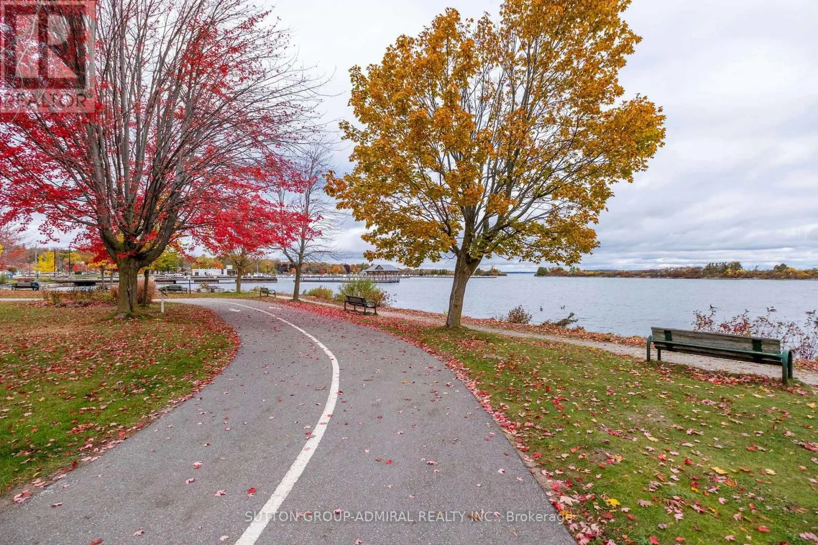 305 - 21 MATCHEDASH STREET