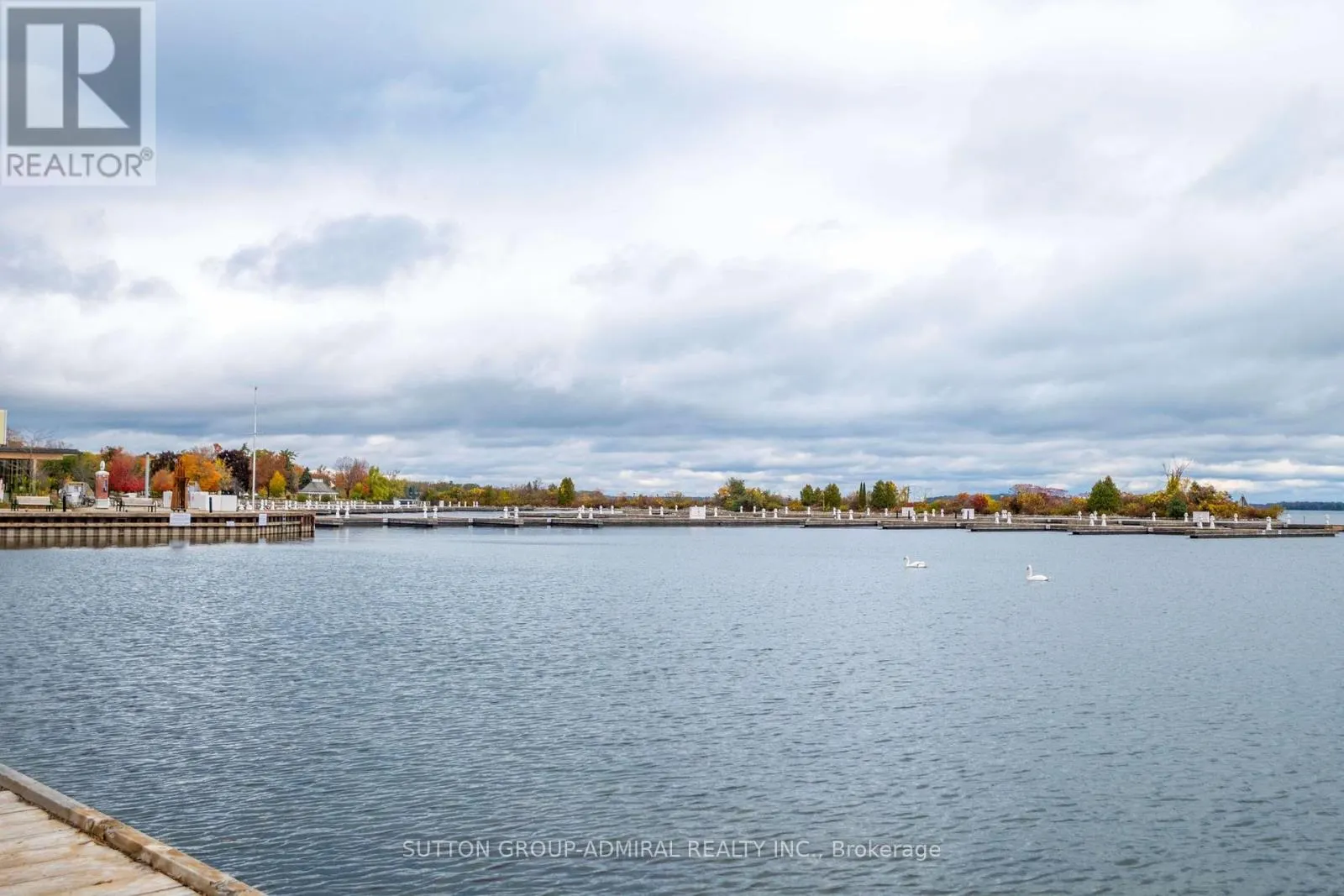 305 - 21 MATCHEDASH STREET