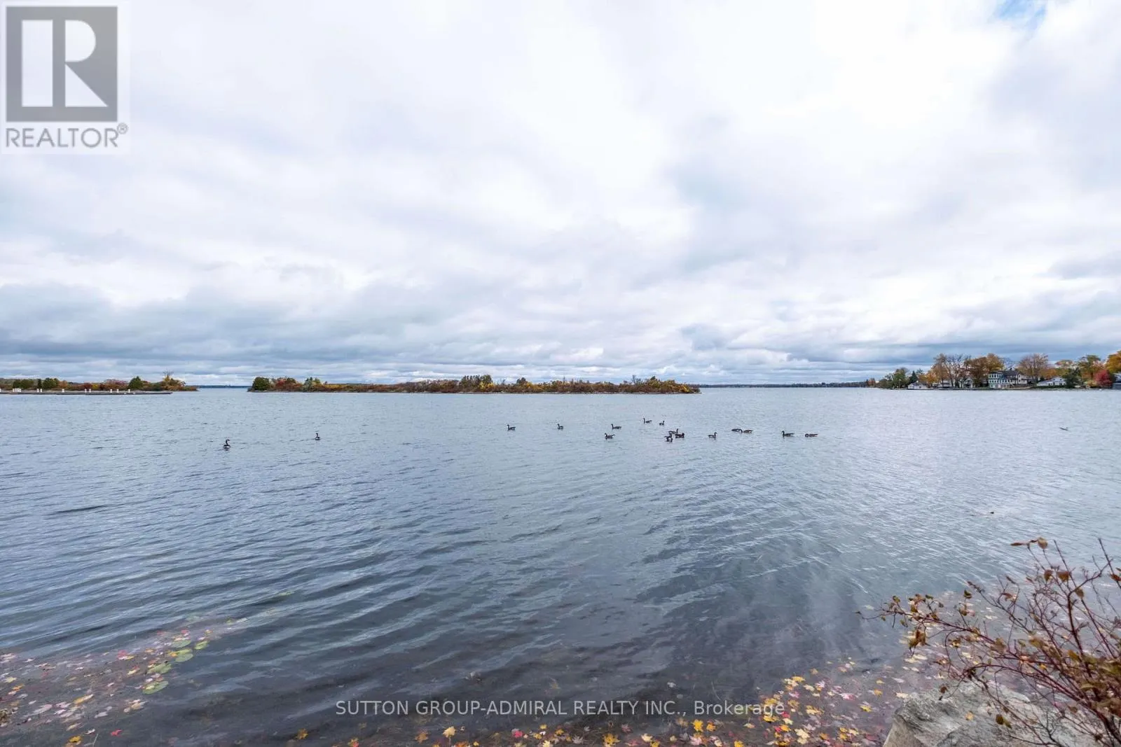 305 - 21 MATCHEDASH STREET