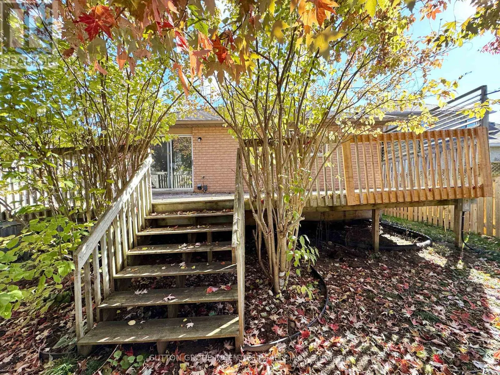 18 FOREST DALE DRIVE