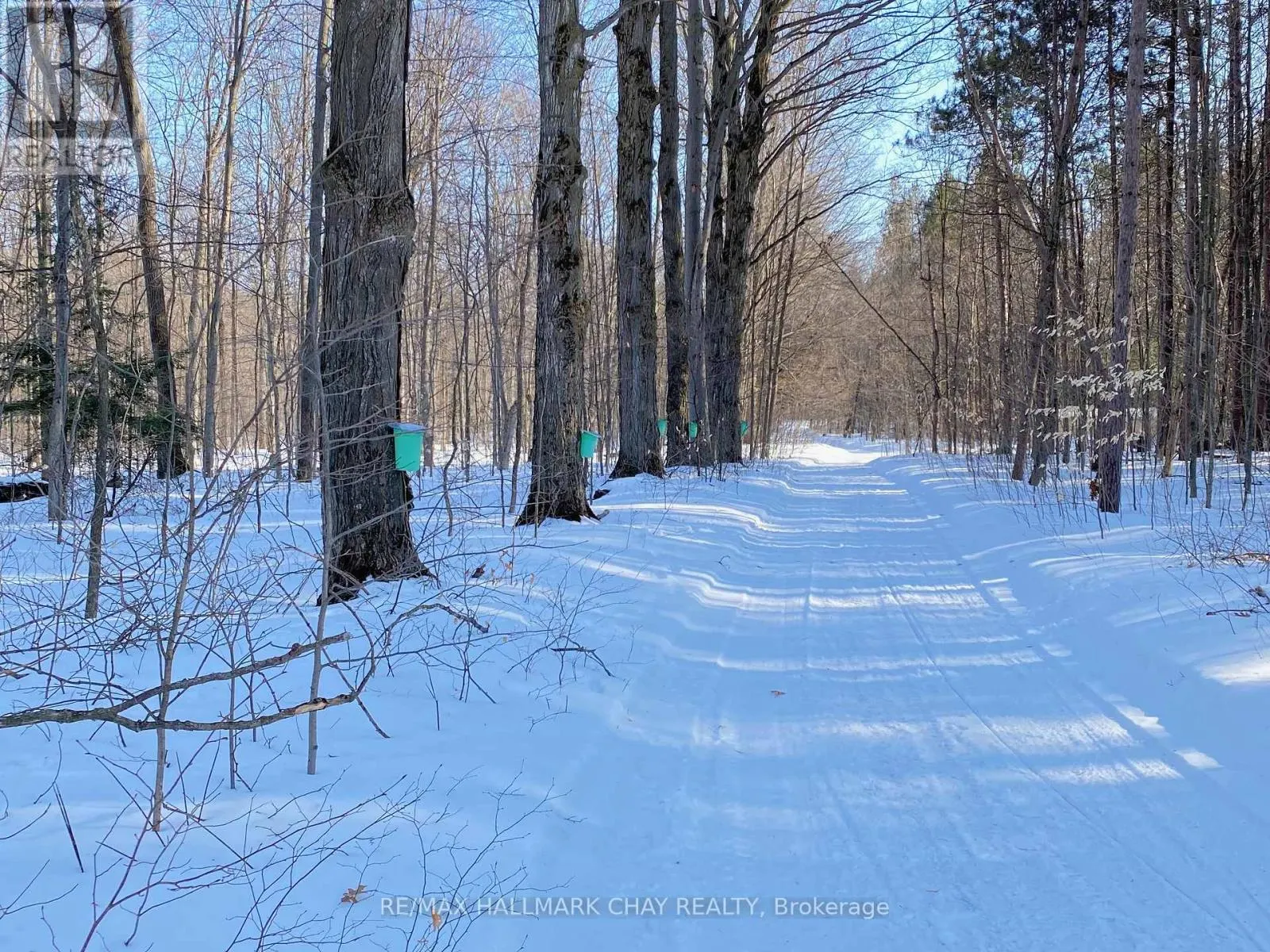 1256 RAINBOW VALLEY ROAD W