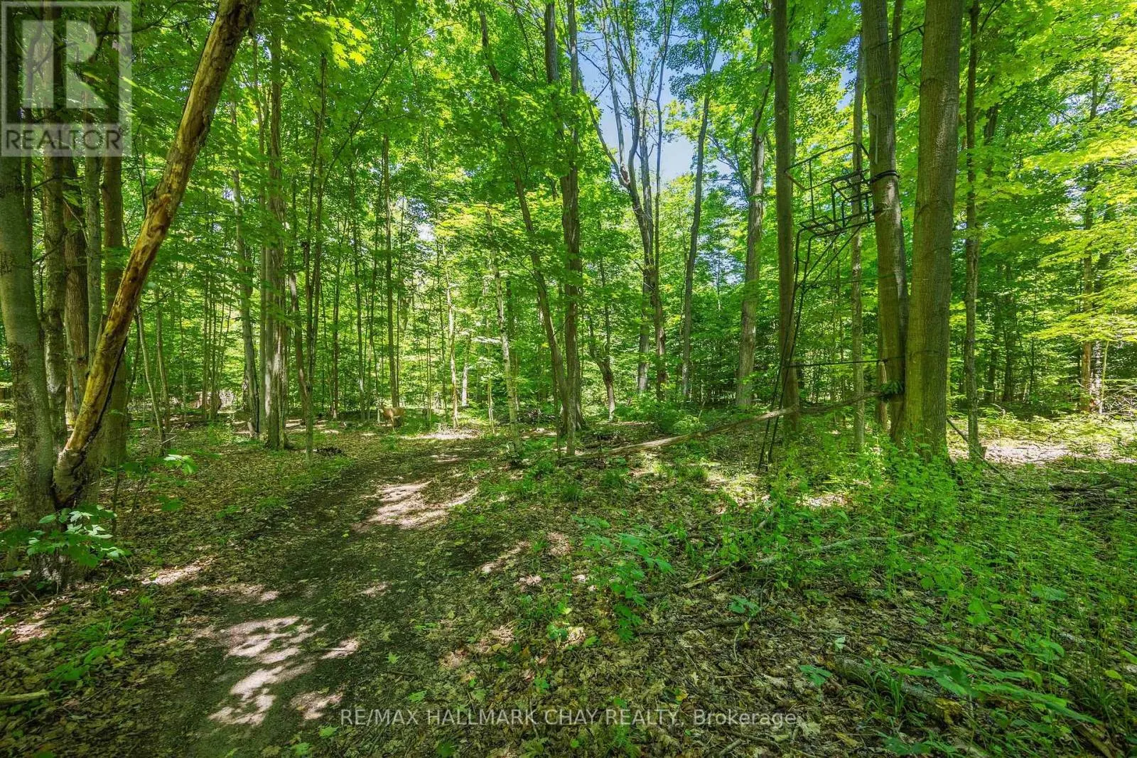 1256 RAINBOW VALLEY ROAD W