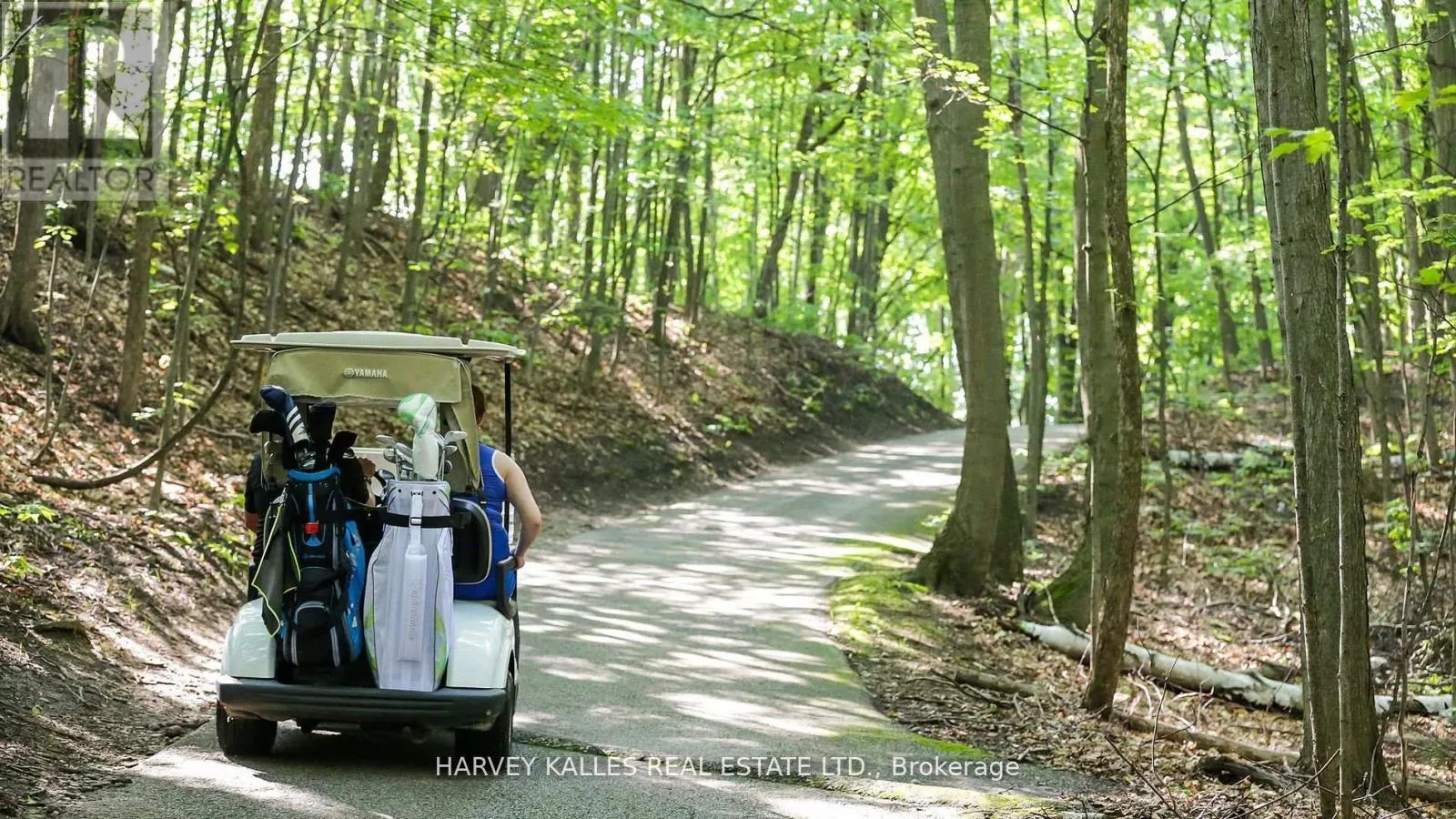 416 - 40 HORSESHOE BOULEVARD