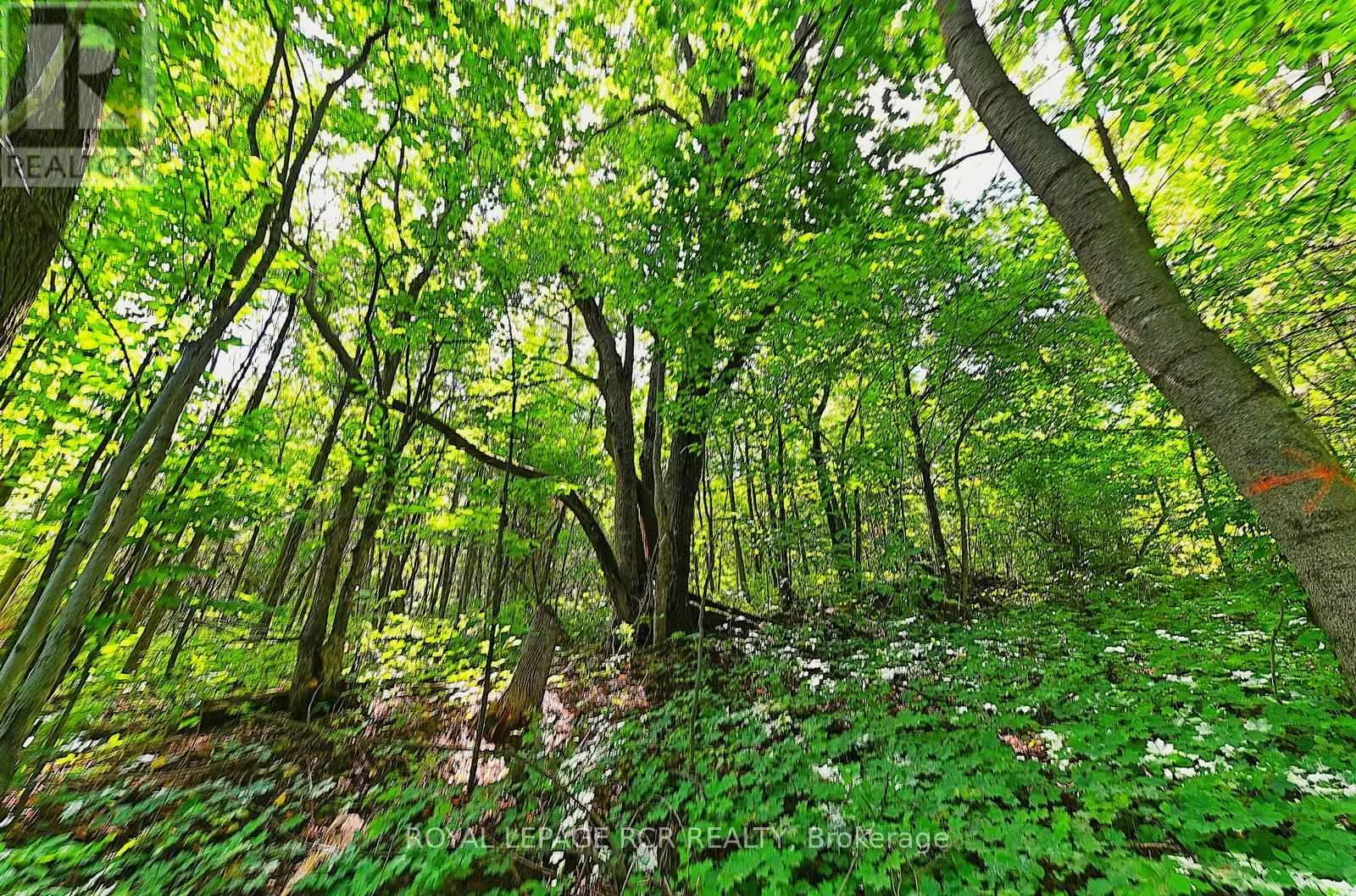 1614 NOTTAWASAGA CONCESSION RD 10