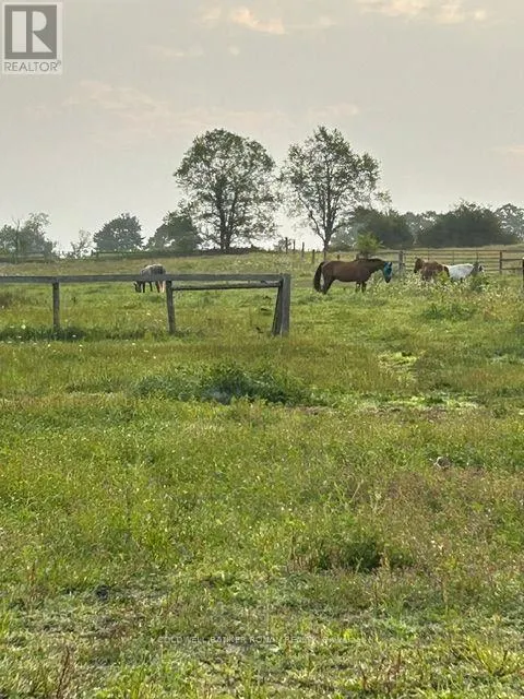 4479 2ND LINE N