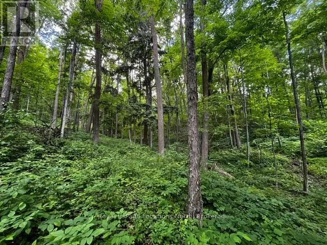 8840 9 COUNTY ROAD