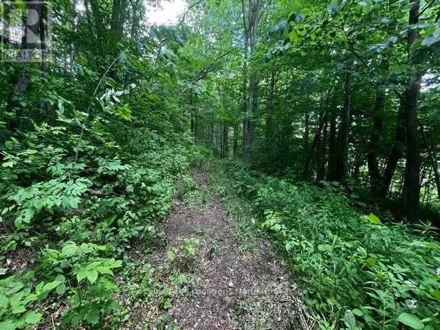8840 9 COUNTY ROAD