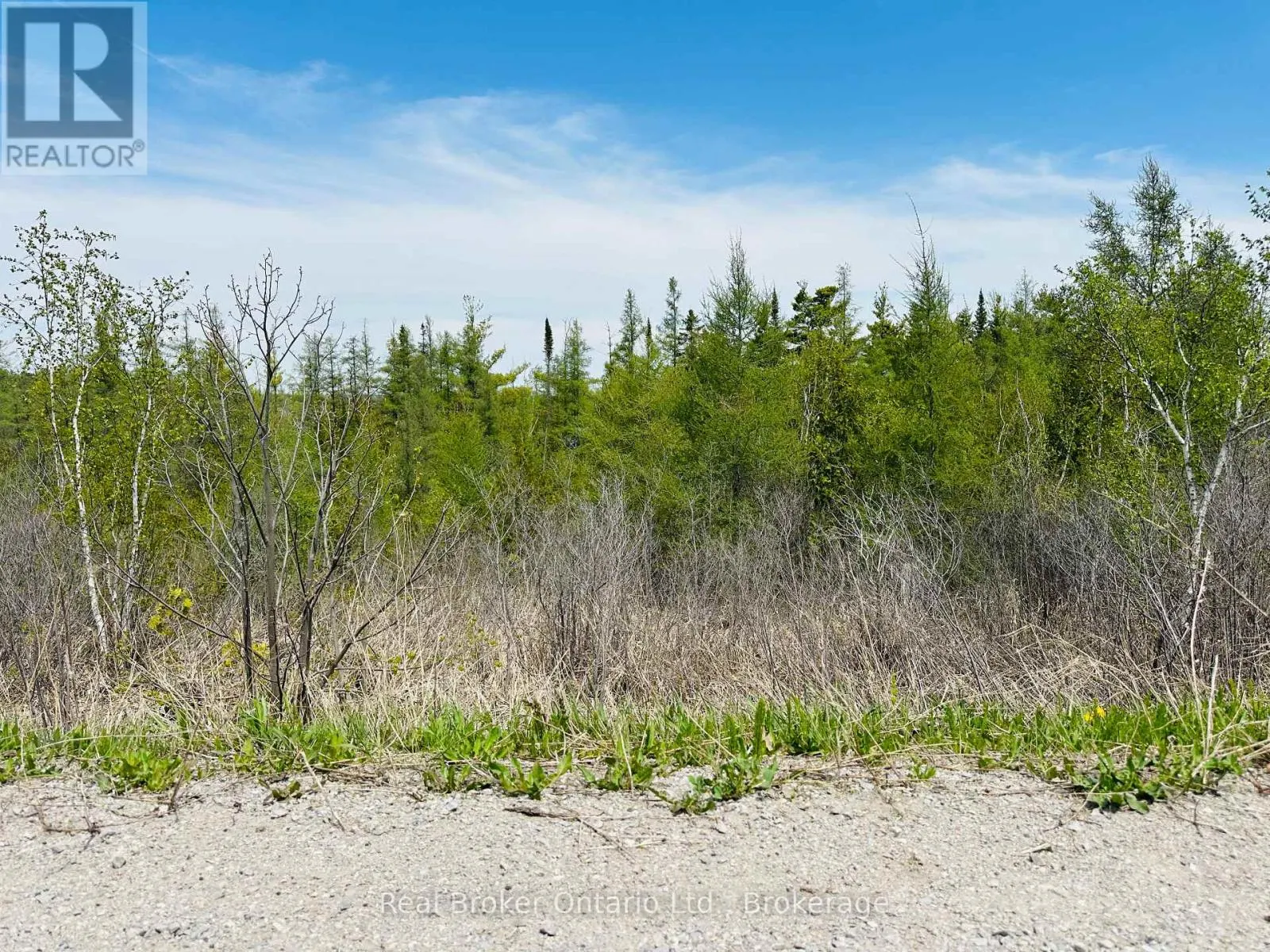 LOT 43 COUNTY RD 16 ROAD