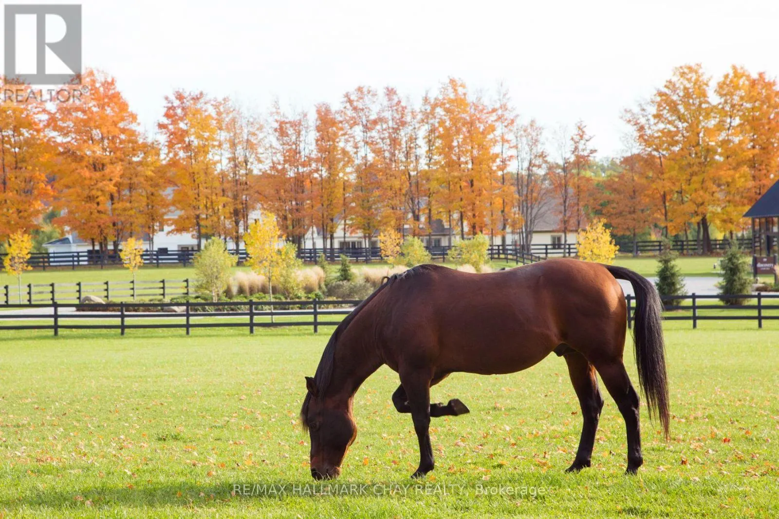 LT 221 FRIESIAN COURT