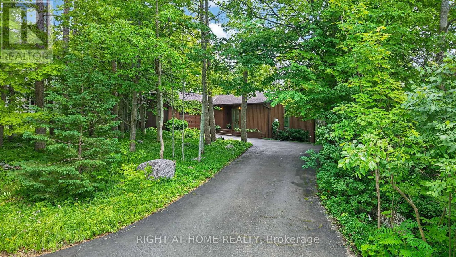 5 PINE POINT