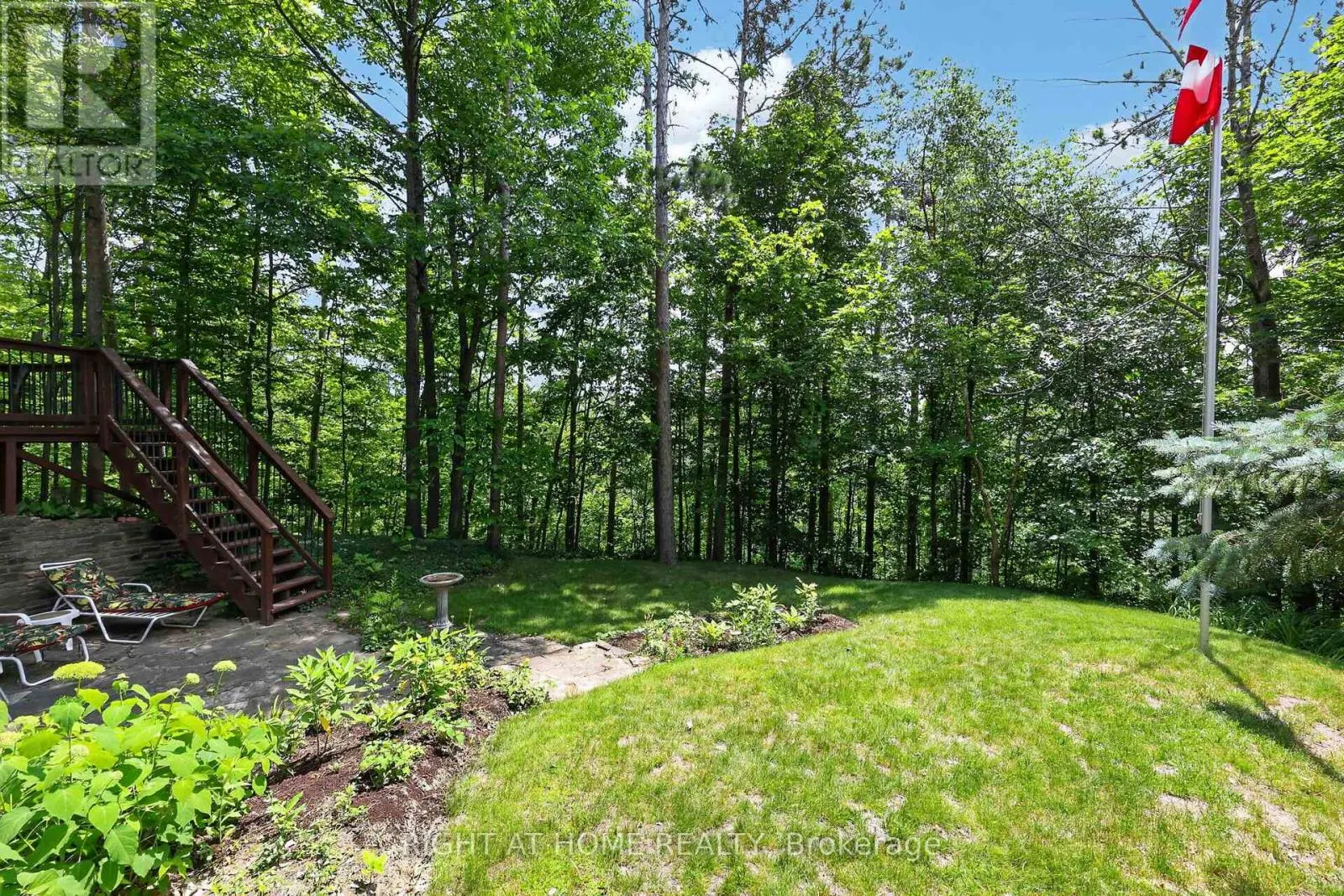 5 PINE POINT