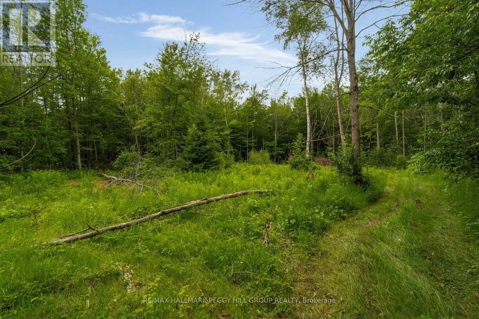 3664 HOGBACK ROAD