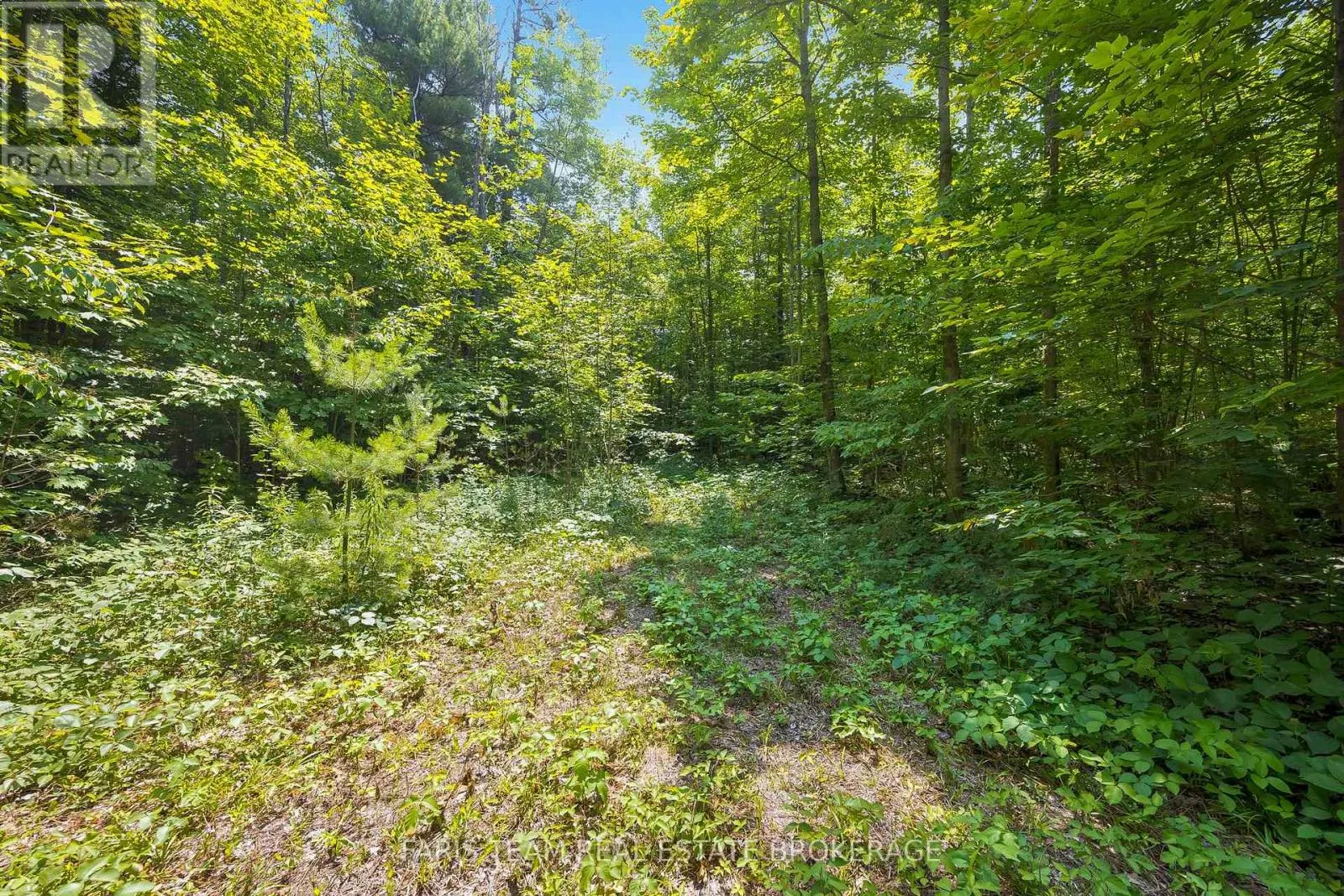 PT LT 40 HORSESHOE VALLEY ROAD W