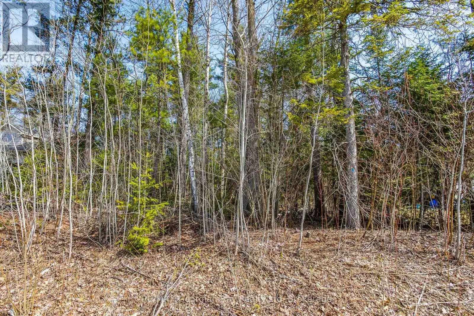 LOT 102 EMILIO STREET