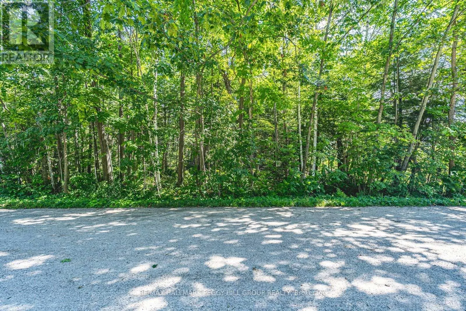 38 LASALLE TRAIL