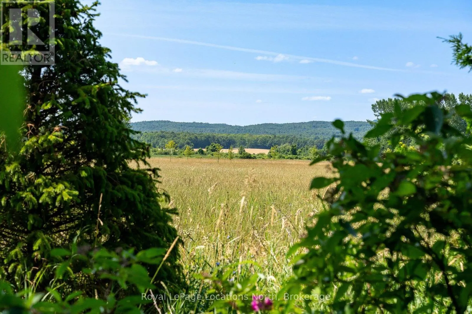 3702 COUNTY ROAD 124 ROAD