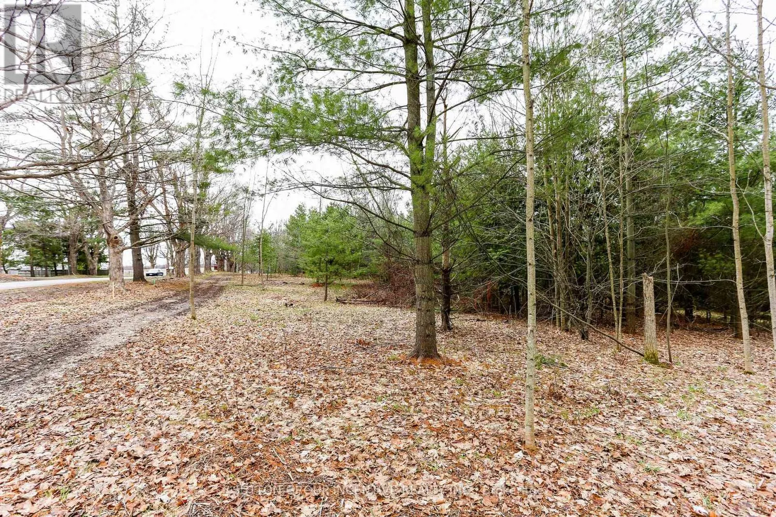 2790 OLD SECOND ROAD S