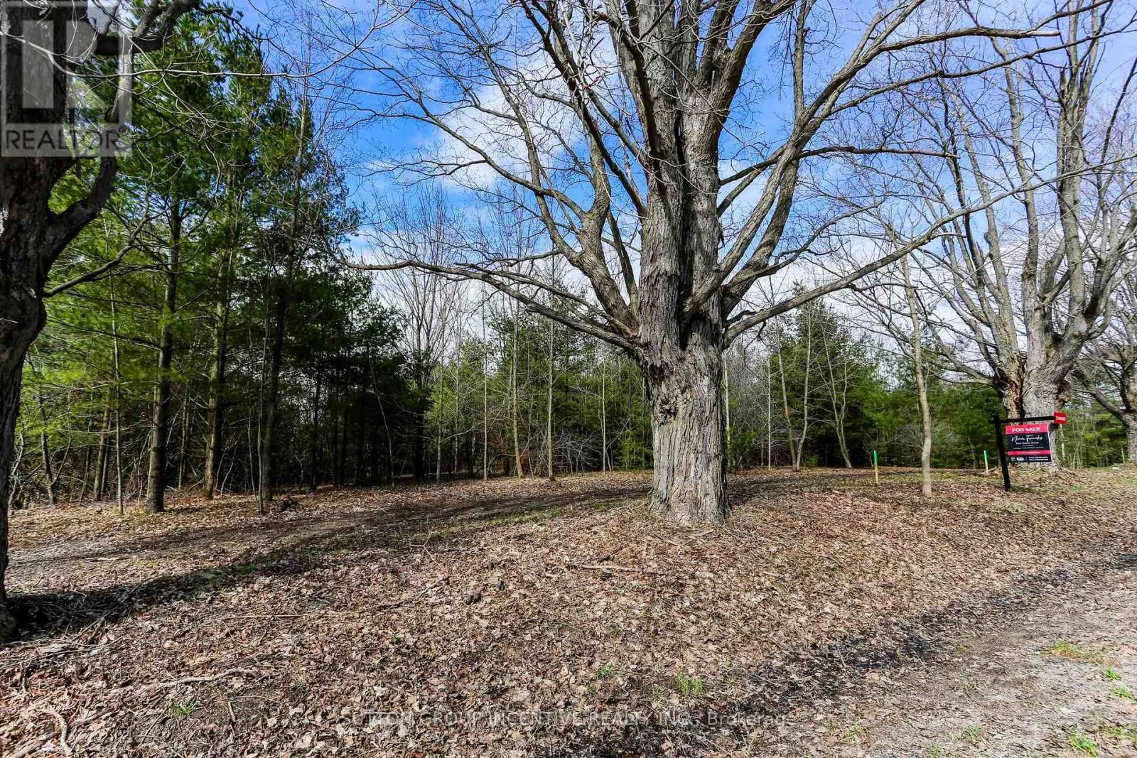 2790 OLD SECOND ROAD S