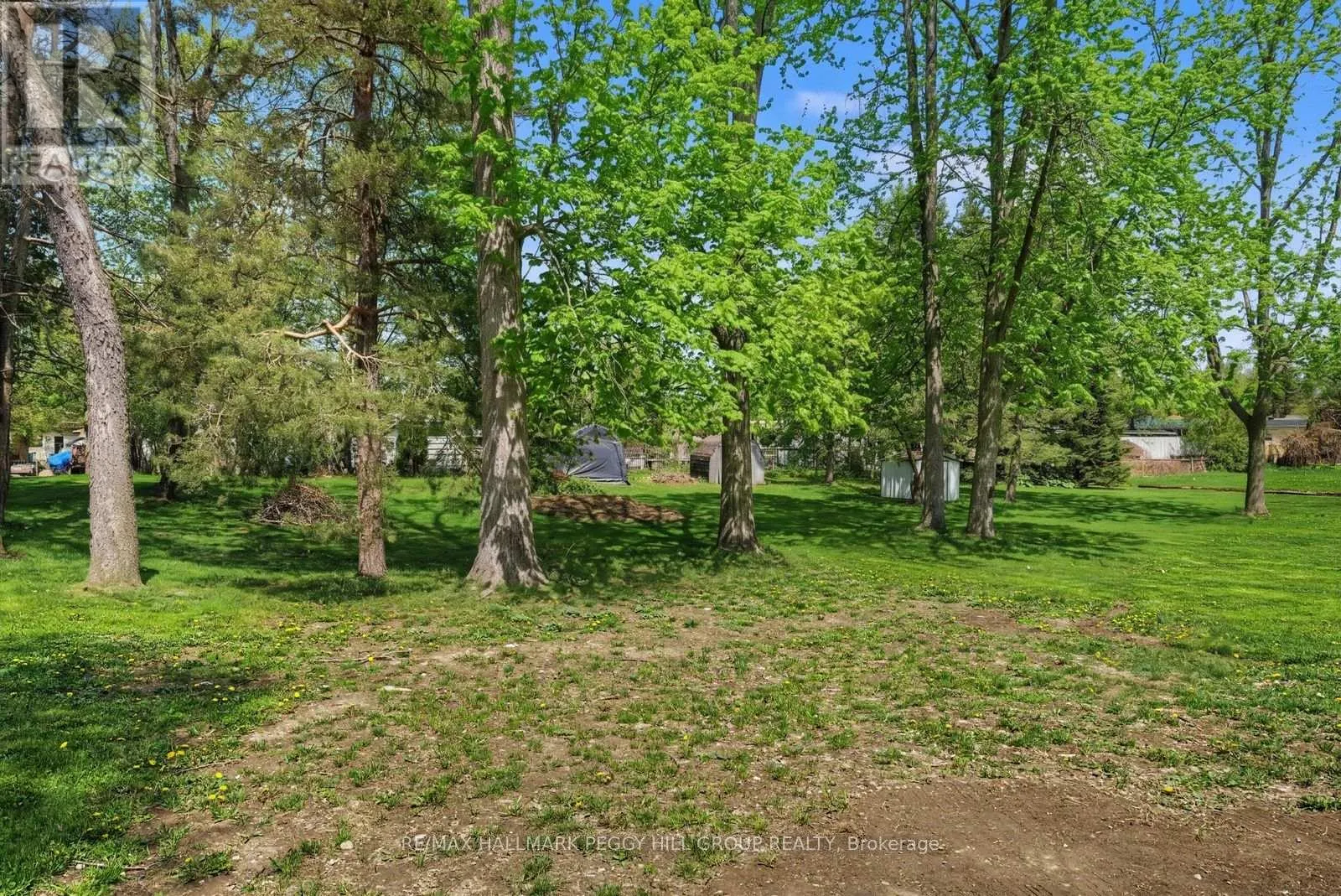 22 OLIVE CRESCENT
