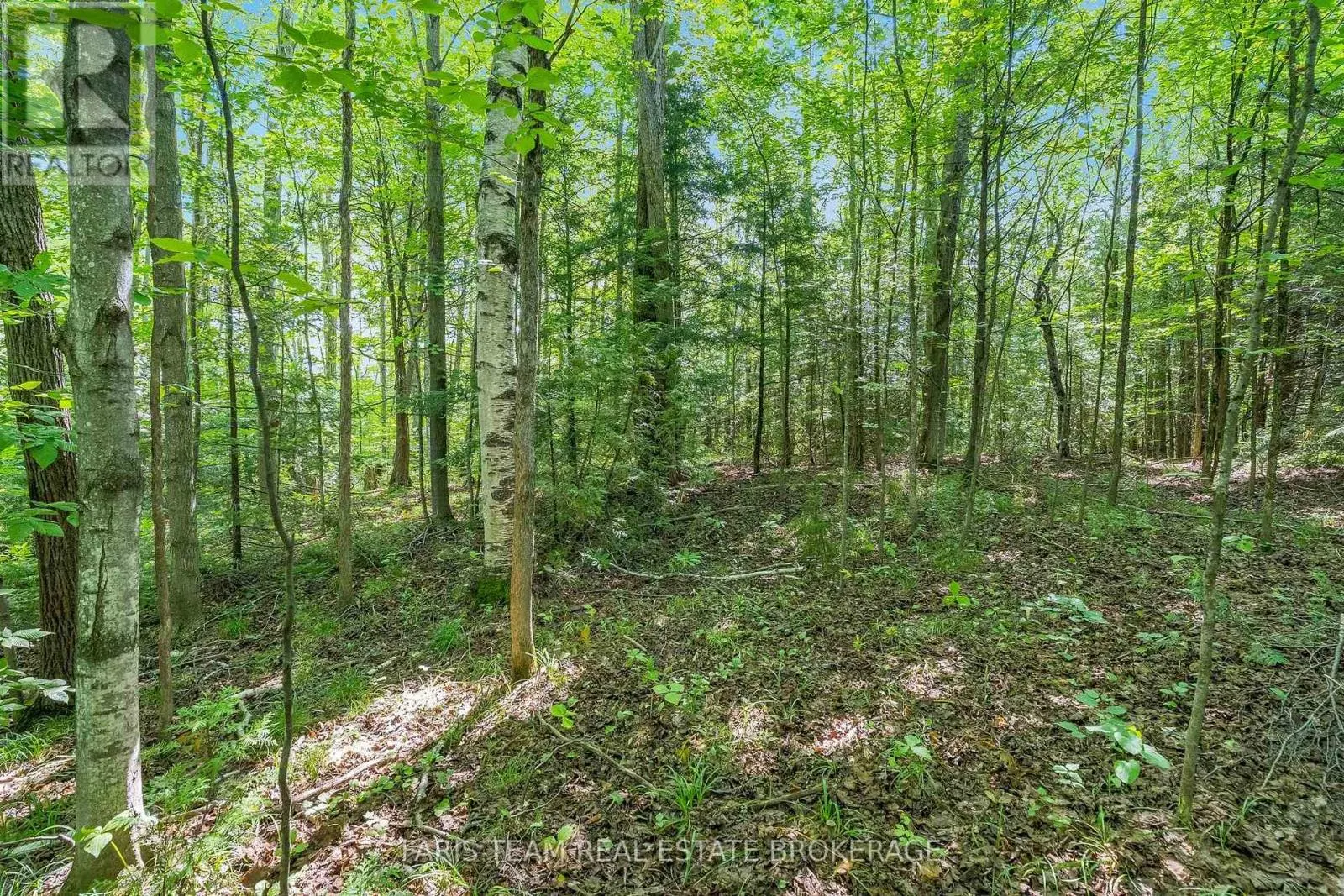5609 LINE 4 N