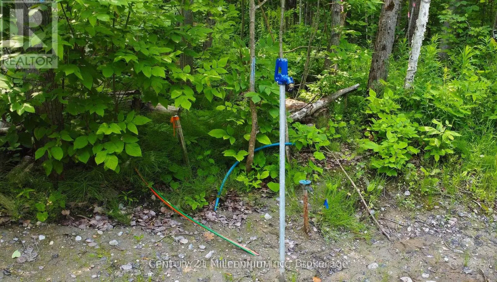 1963 LOT 52 TINY BEACHES ROAD N