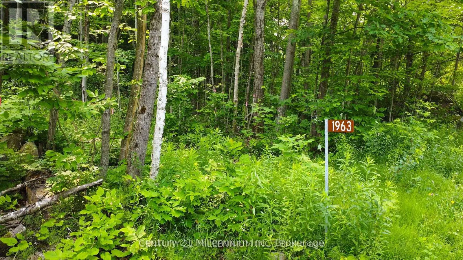 1963 LOT 52 TINY BEACHES ROAD N