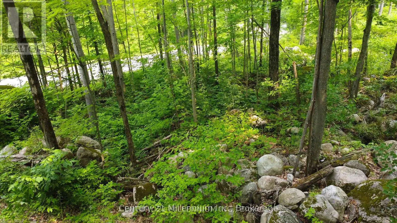 1963 LOT 52 TINY BEACHES ROAD N