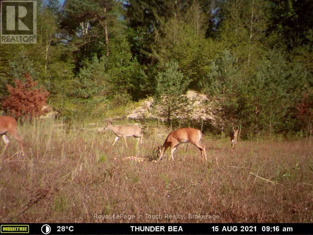 594 COUNTY ROAD 6 ROAD N