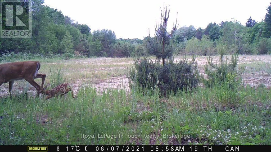 594 COUNTY ROAD 6 ROAD N