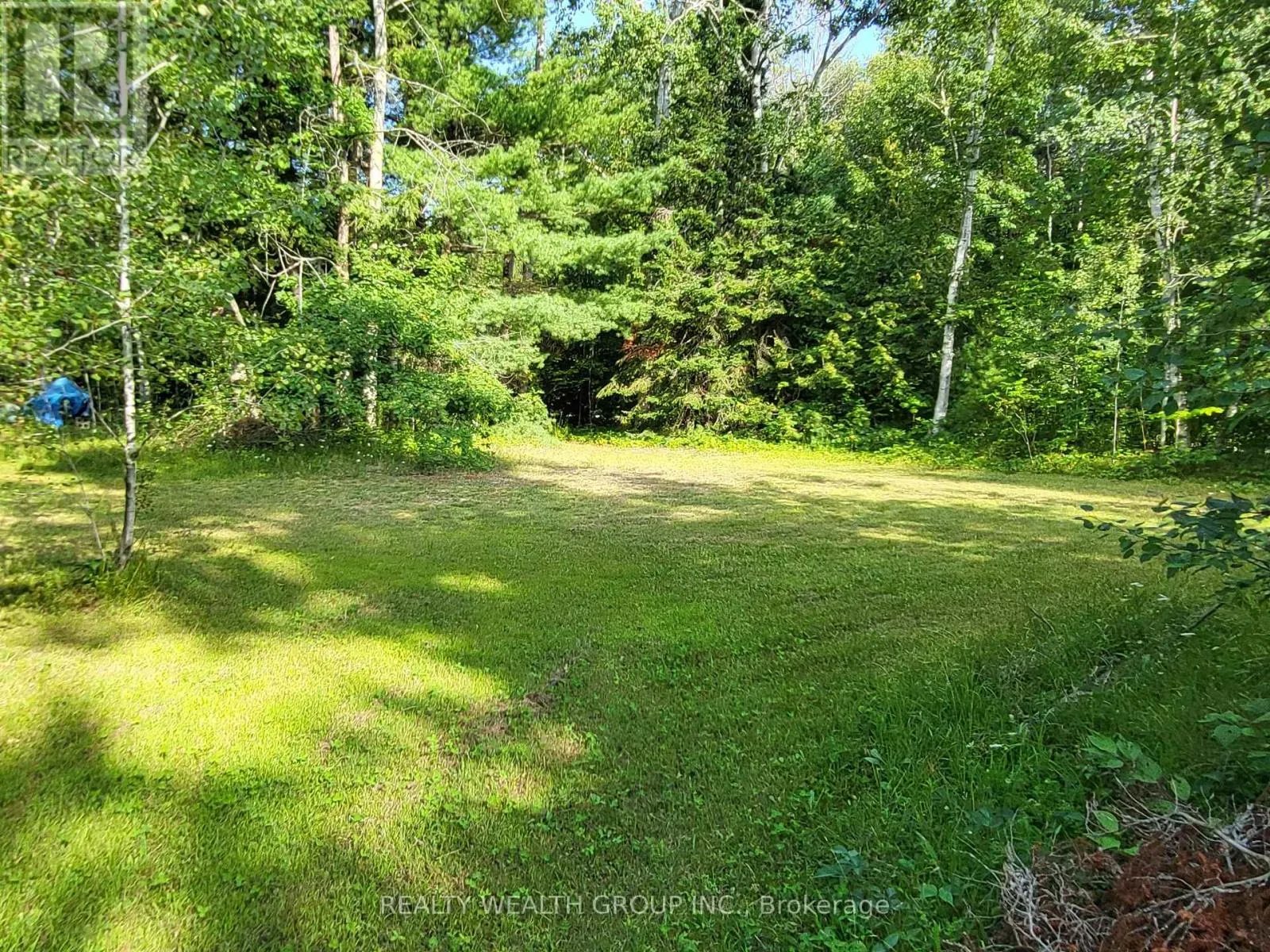 LT 50 CEDAR GROVE DRIVE
