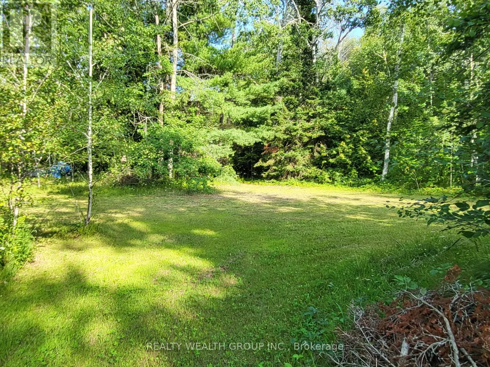LT 50 CEDAR GROVE DRIVE
