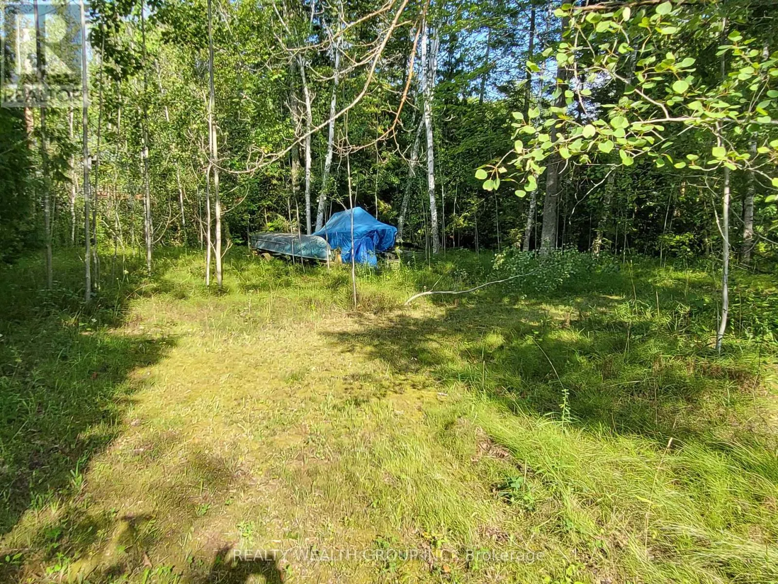 LT 50 CEDAR GROVE DRIVE