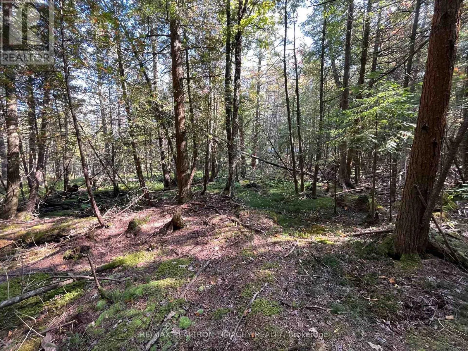 LOT 25 CHAMPLAIN ROAD