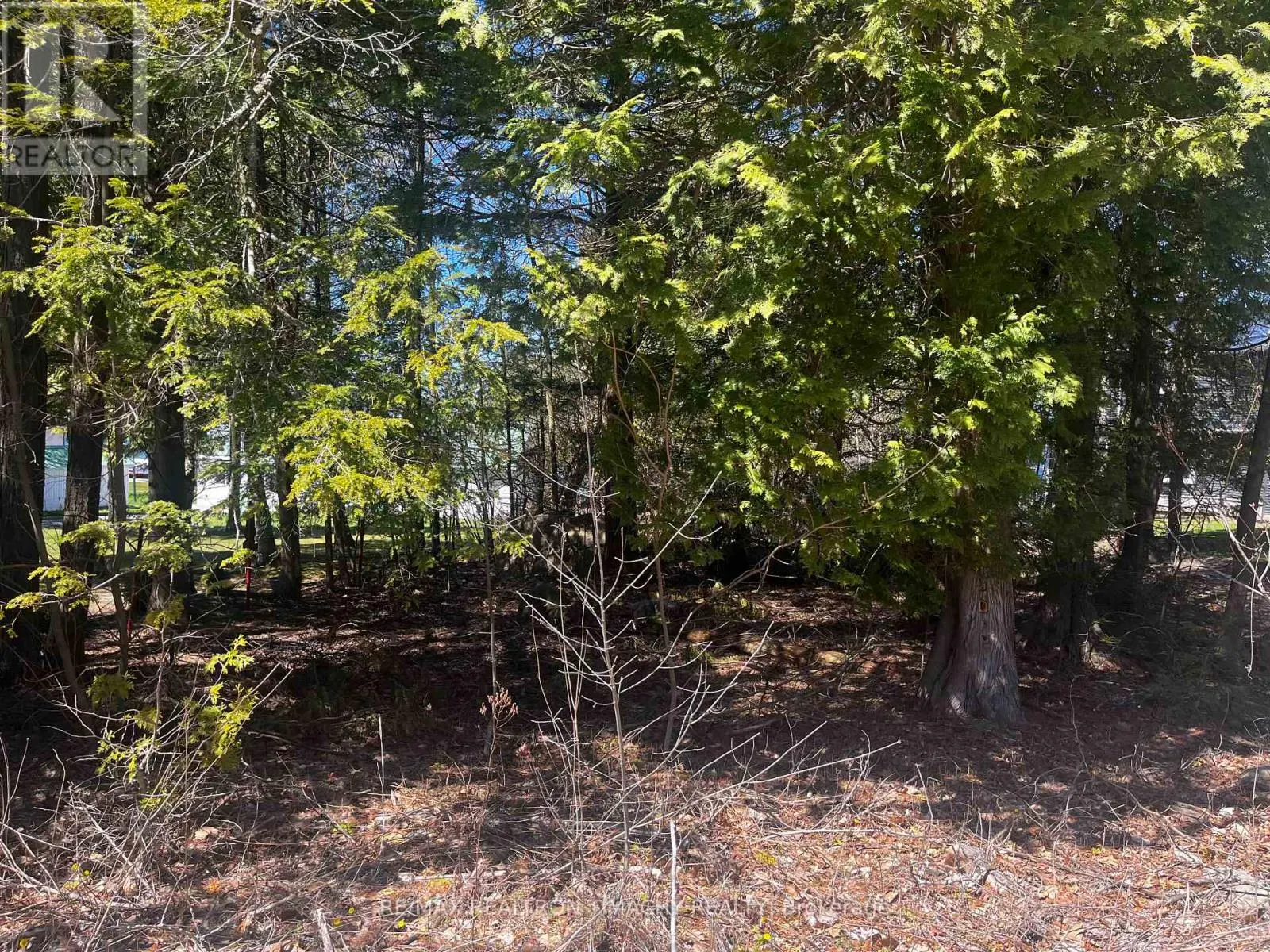 LOT 25 CHAMPLAIN ROAD