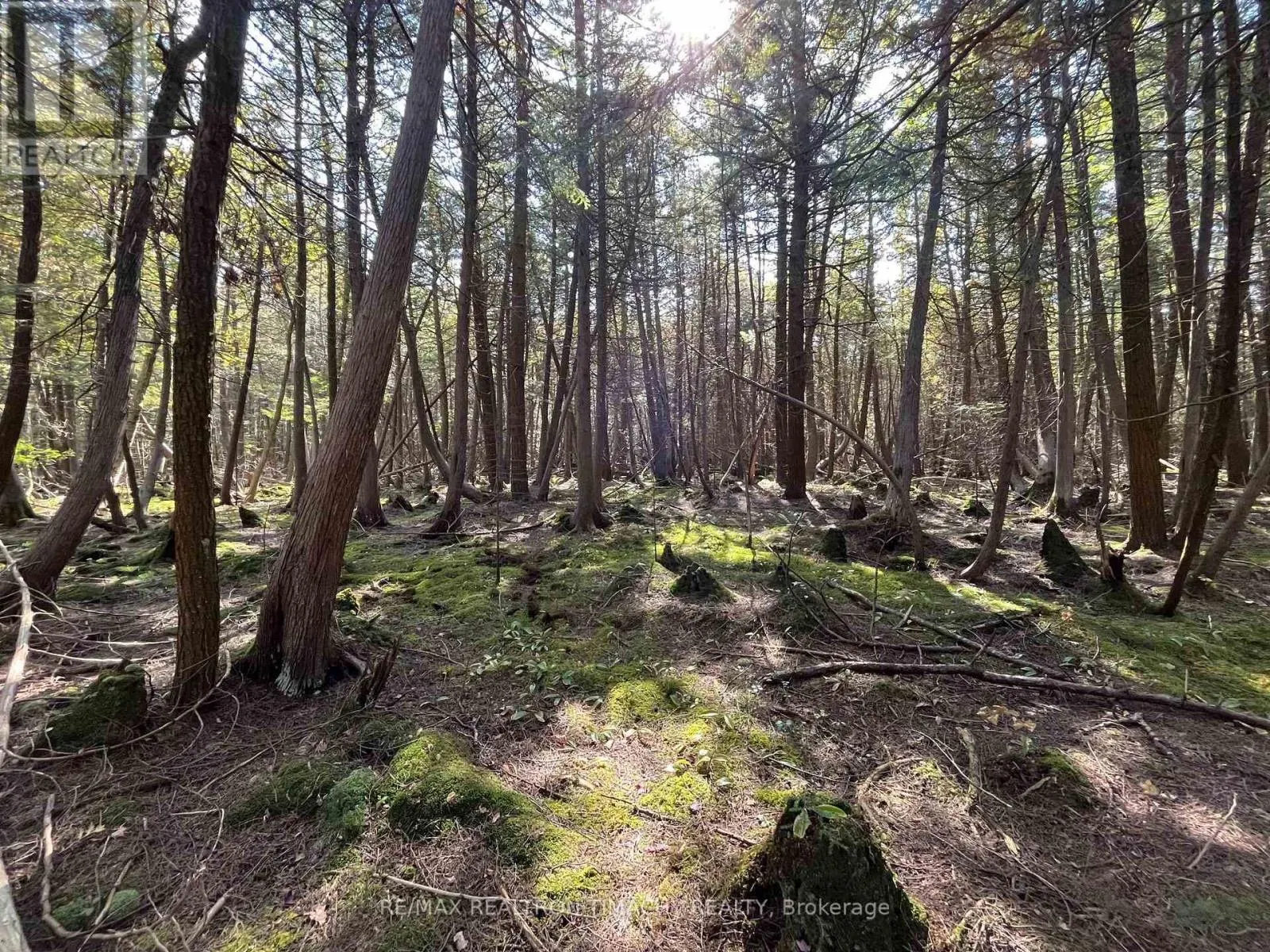 LOT 25 CHAMPLAIN ROAD